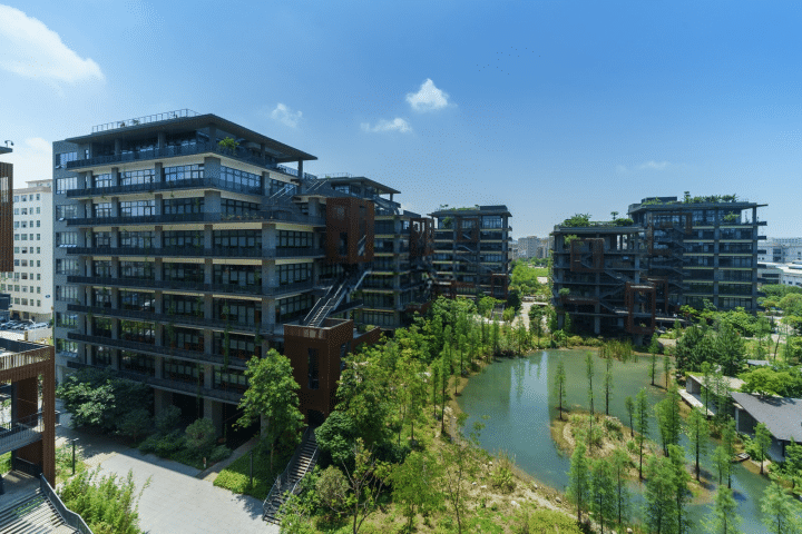 泰华梧桐岛外观图