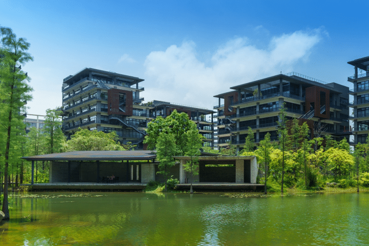 泰华梧桐岛大堂图片