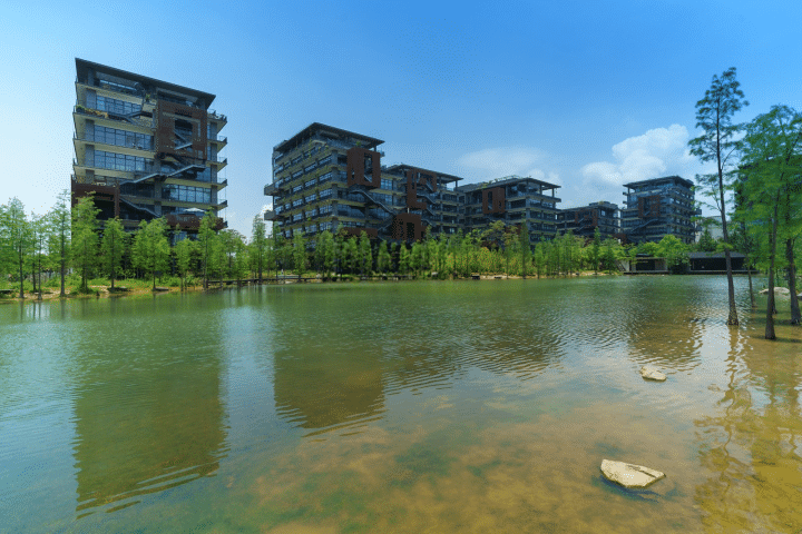 泰华梧桐岛周边环境图