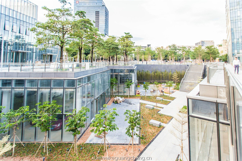 讯美科技广场电梯图片