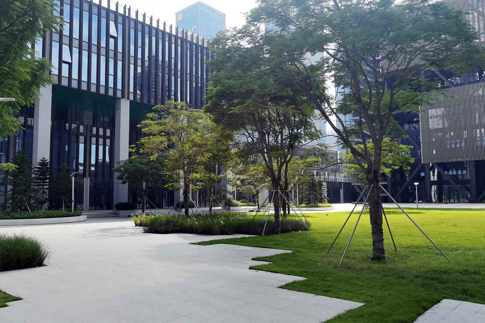 粤港澳青年创业区图片