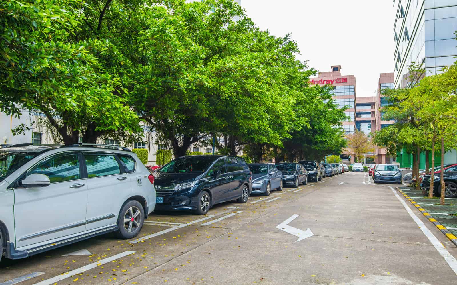 中电照明大厦电梯图片